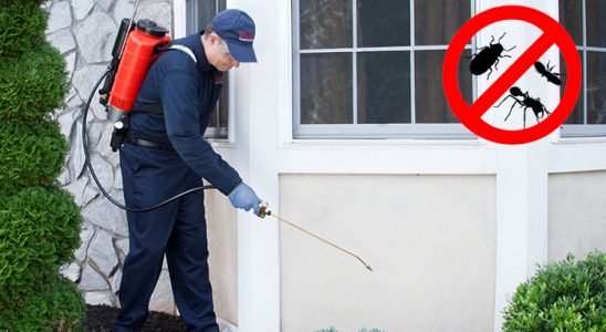 Çayırlı Haşere İlaçlama böcek ilaçlama ve haşere kontrolü — ilaclama-tr.com